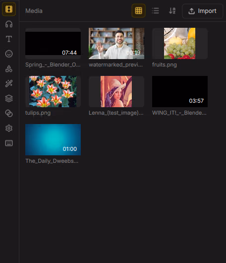Assets panel Media tab